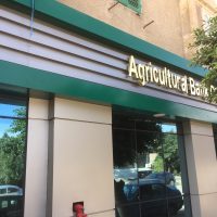 WhatsApp Image 2026-01-27 at 1.42.52 PM